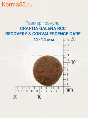   CRAFTIA GALENA DOG RECOVERY&CONVALESCENCE CARE (,  3)