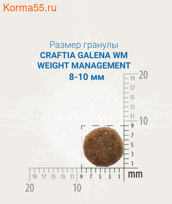   CRAFTIA GALENA CAT WEIGHT MANAGEMENT (,  3)