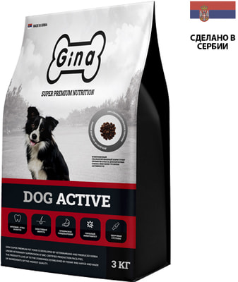   Gina Dog Active () (,  1)