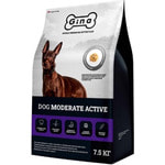   Gina Dog Moderate Active ().  2