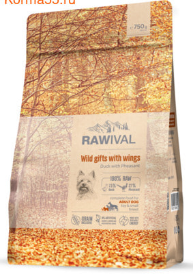   RAWIVAL Wild Gifts with Wings    